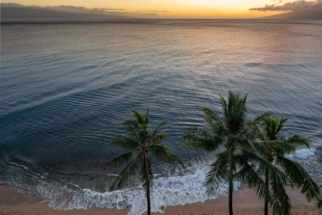 property view of water with a view of the beach