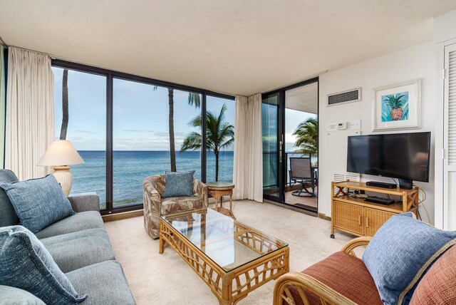 living room featuring light colored carpet and floor to ceiling windows