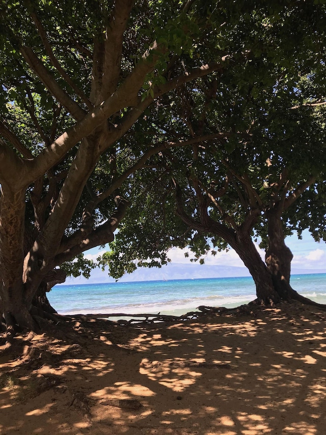 water view featuring a beach view