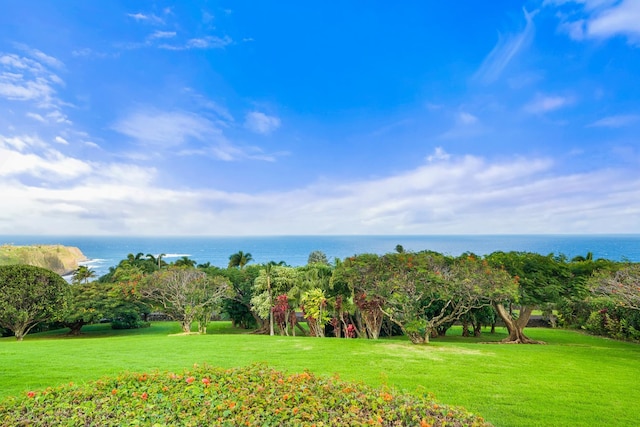 view of yard featuring a water view