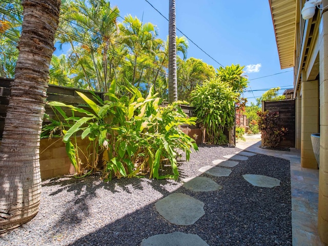 view of yard featuring a patio area