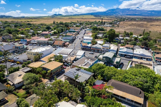 aerial view with a mountain view