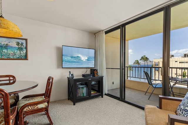 view of carpeted living room