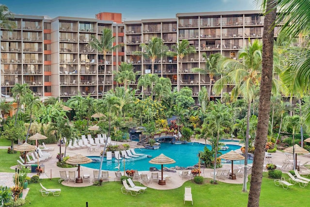 view of pool featuring a yard and a patio area