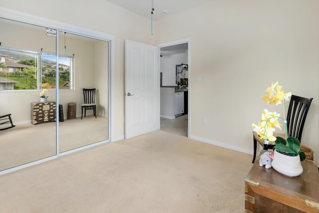 interior space featuring baseboards and carpet flooring
