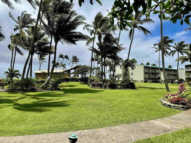 7146 Kamehameha V Hwy Unit C107, Kaunakakai, HI 96748 - view of grassy yard