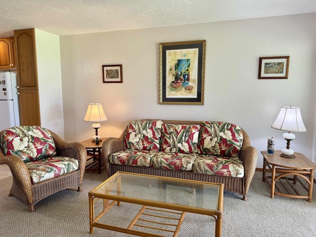 7146 Kamehameha V Hwy Unit C107, Kaunakakai, HI 96748 - living room featuring light carpet and a textured ceiling