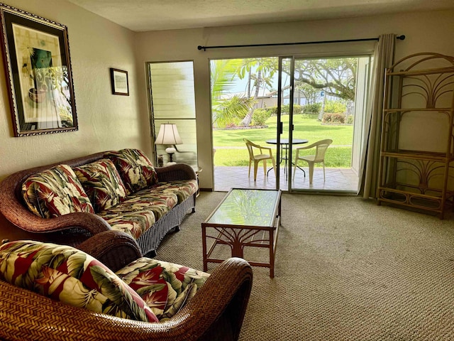 7146 Kamehameha V Hwy Unit C107, Kaunakakai, HI 96748 - living room with carpet