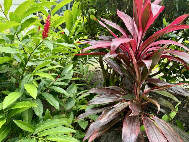 7146 Kamehameha V Hwy Unit C107, Kaunakakai, HI 96748 - exterior view