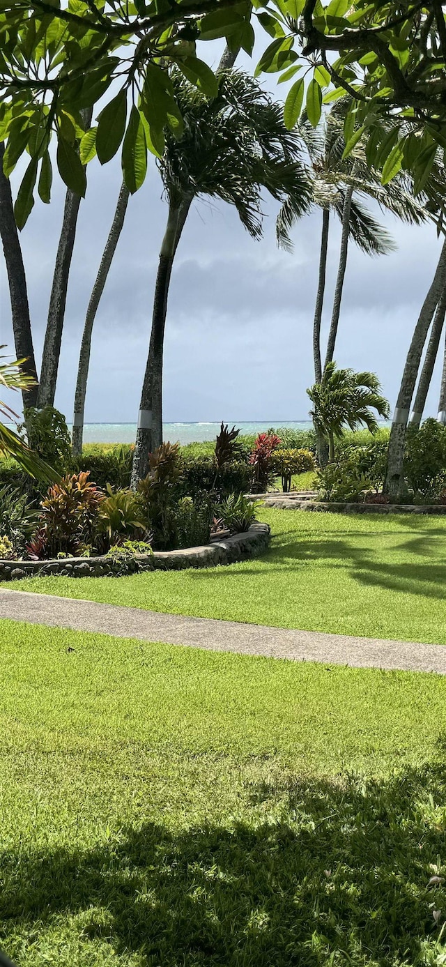 7146 Kamehameha V Hwy Unit C107, Kaunakakai, HI 96748 - view of community with a yard
