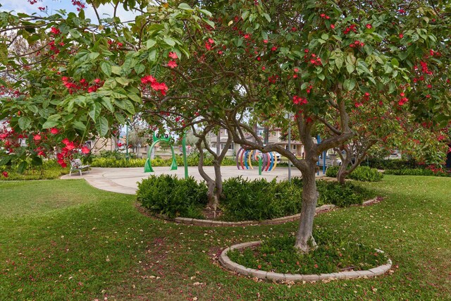 62 Meheu Cir, Kahului, HI 96732 - surrounding community with a lawn
