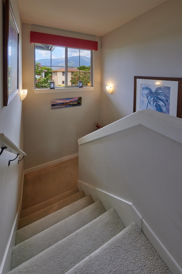 62 Meheu Cir, Kahului, HI 96732 - stairway featuring baseboards and carpet flooring