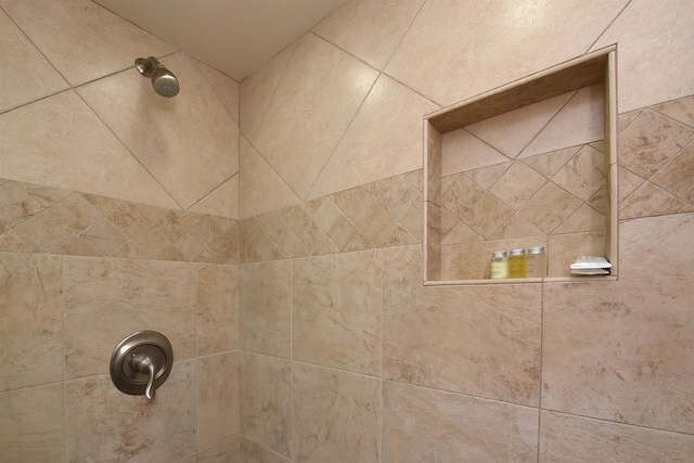 room details with tiled shower