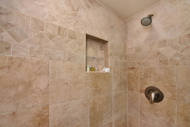 room details with a tile shower