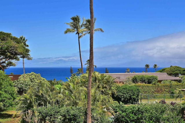 water view featuring fence