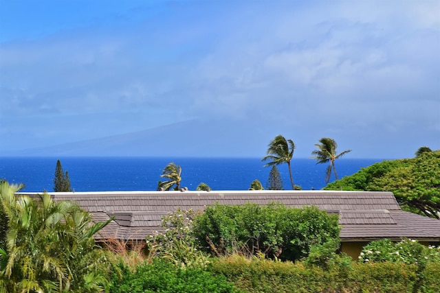 property view of water