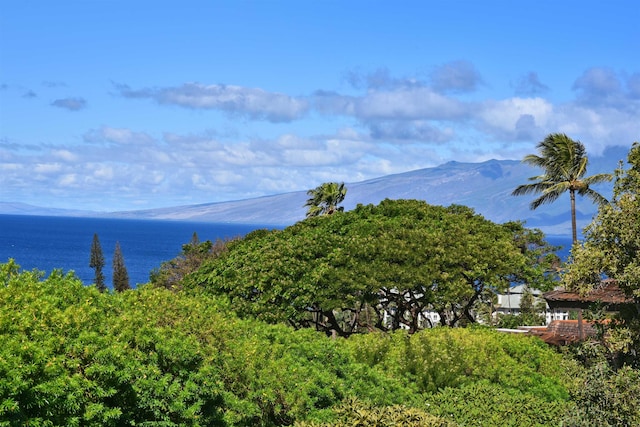 exterior space featuring a mountain view