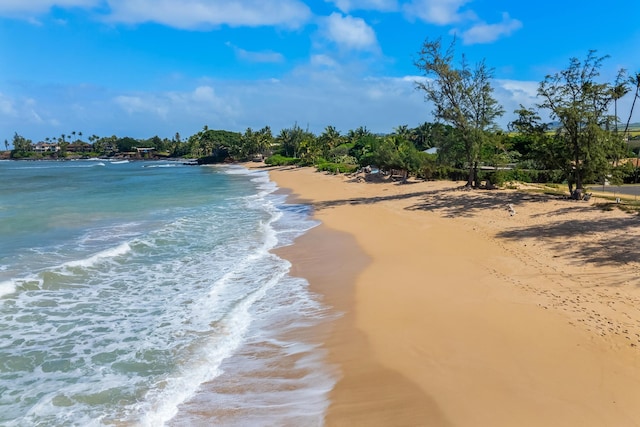 property view of water with a beach view