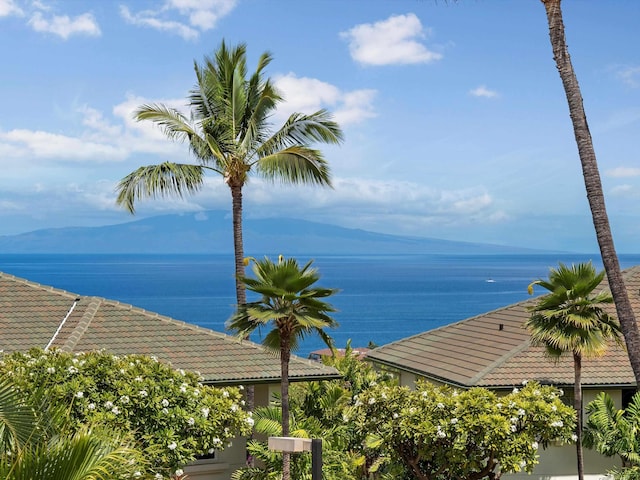 3950 Kalai Waa St Unit C202, Kihei, HI 96753 - water view