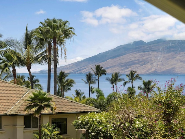 3950 Kalai Waa St Unit C202, Kihei, HI 96753 - water view with a mountainous background