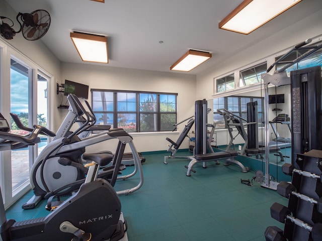 3950 Kalai Waa St Unit C202, Kihei, HI 96753 - exercise room featuring healthy amount of natural light