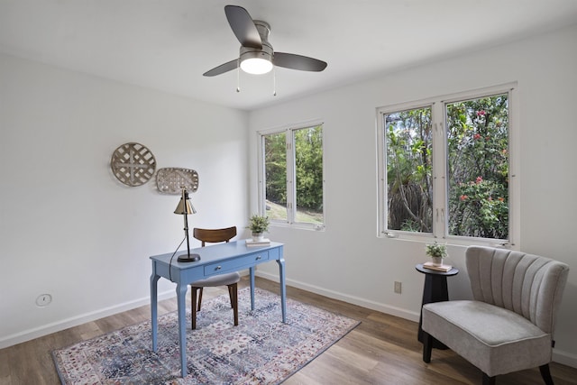 office area featuring ceiling fan, light wood-type flooring, and baseboards