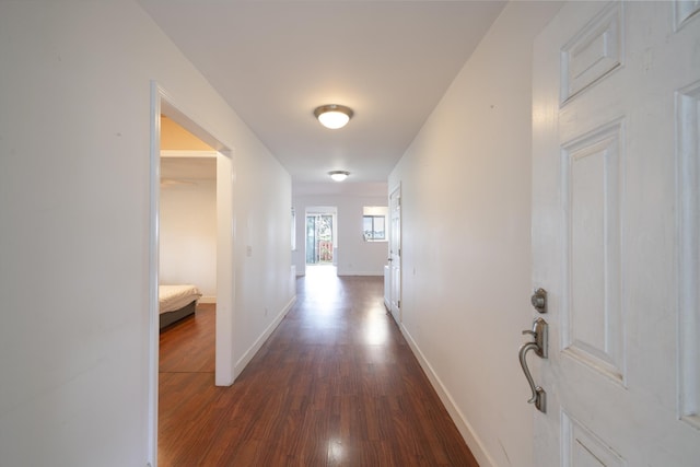 hallway with dark wood-type flooring