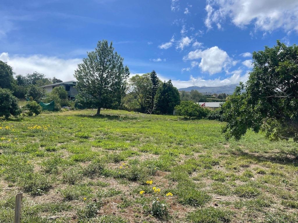 271 Makaena Pl, Pukalani, HI 96768 - view of yard with a mountain view