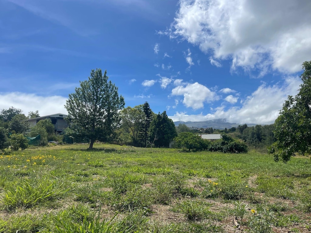 271 Makaena Pl, Pukalani, HI 96768 - view of yard with a mountain view