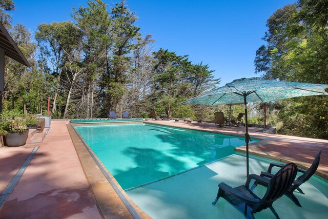 outdoor pool with a patio