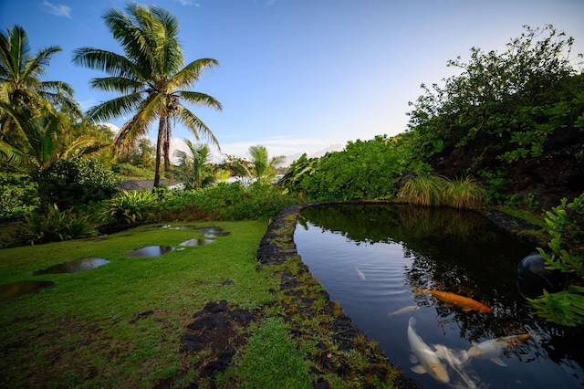 view of water feature