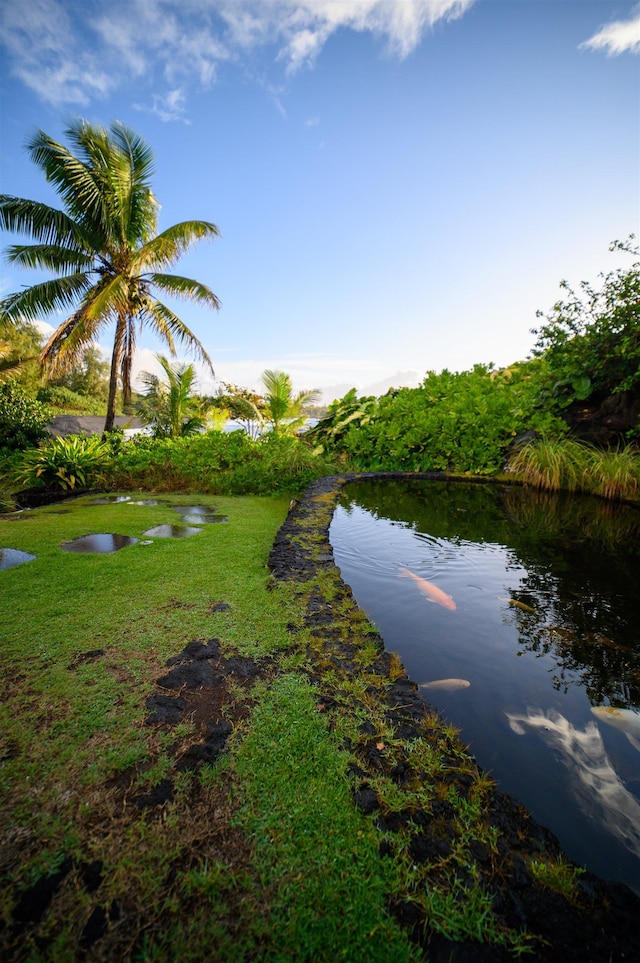 view of water feature