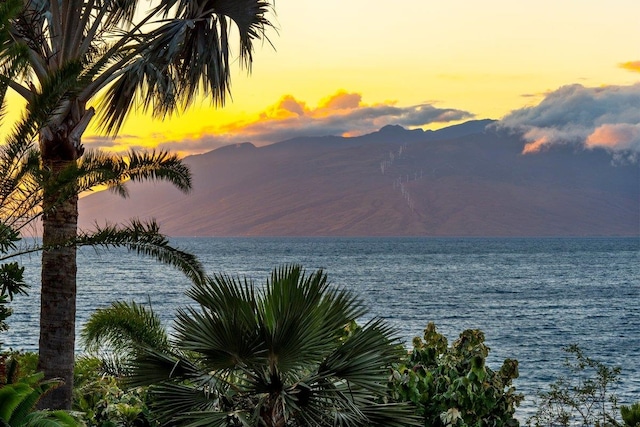 property view of water with a mountain view