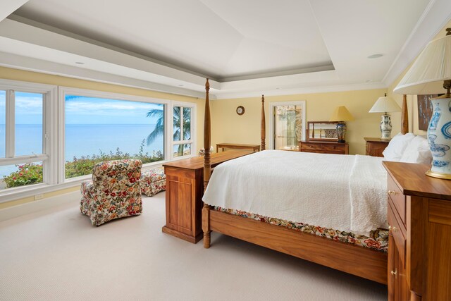 bedroom with a raised ceiling, a water view, carpet floors, and ornamental molding