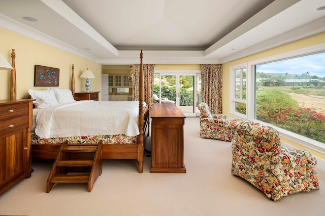 carpeted bedroom featuring a raised ceiling