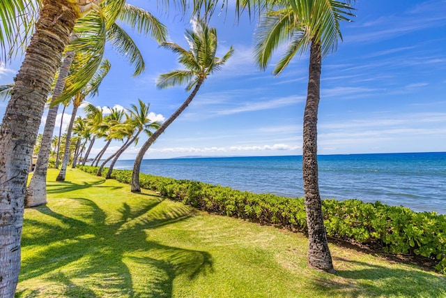 160 Pualei Dr Unit 160-4, Lahaina, HI 96761 - water view