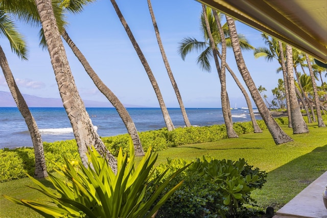 160 Pualei Dr Unit 160-4, Lahaina, HI 96761 - water view