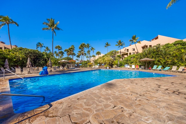 view of pool with a patio area