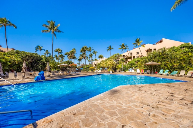 view of pool with a patio area