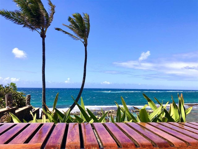 water view featuring a beach view