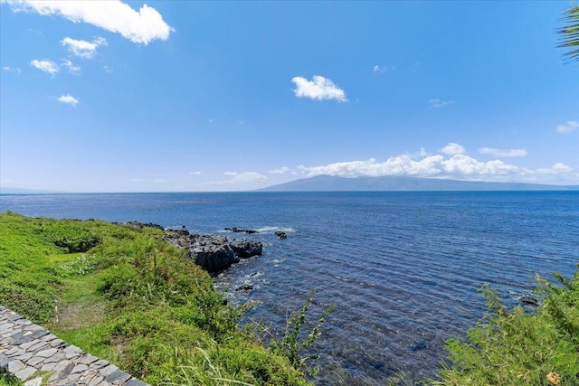 property view of water featuring a mountain view