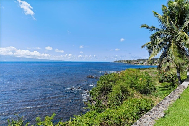 property view of water