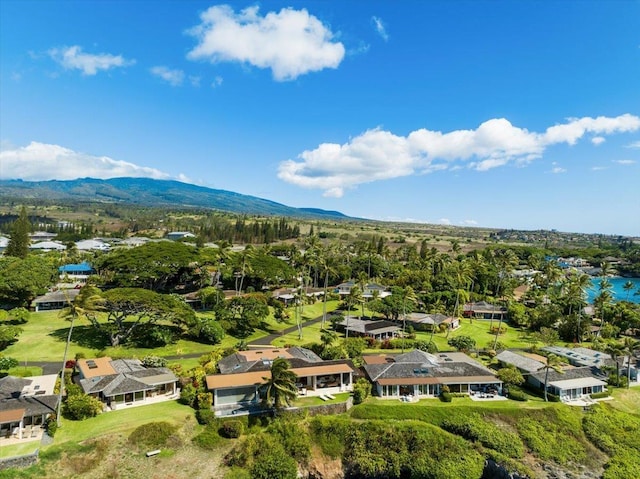 birds eye view of property featuring a mountain view