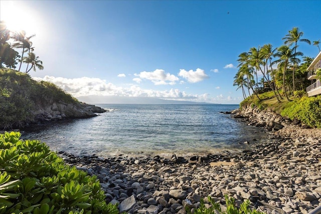 property view of water