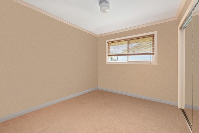 carpeted empty room with ornamental molding