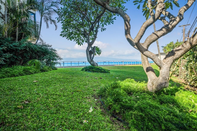 view of yard featuring a water view