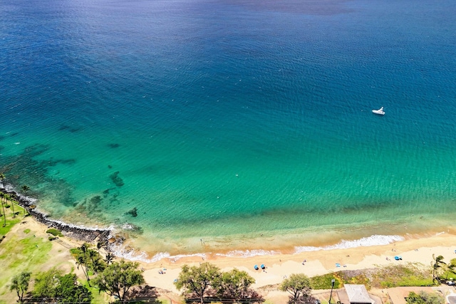 view of water feature featuring a beach view