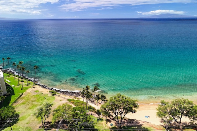 property view of water featuring a view of the beach