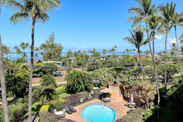 view of pool with a patio