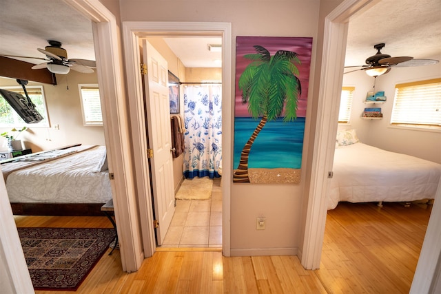 corridor with plenty of natural light and light hardwood / wood-style floors